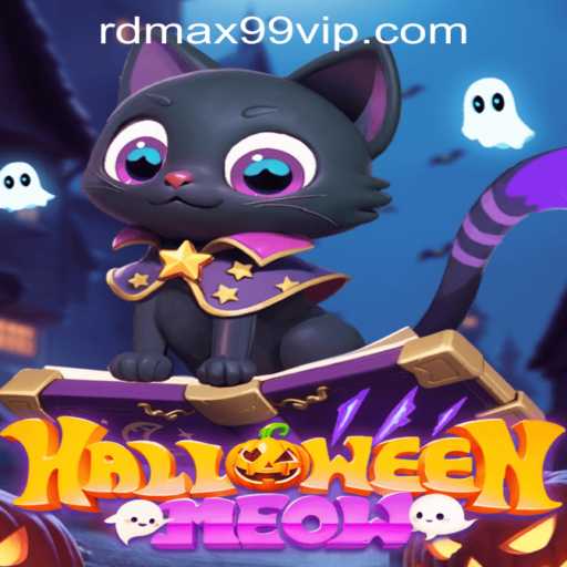 HalloweenMeow: Enter the Whiskered Realm of Spooky Fun